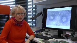  Profesor Krystyna Bieńkowska-Szewczyk z UG: Masowe szczepienia jedną dawką sposobem na walkę z brytyjską mutacją koronawirusa 