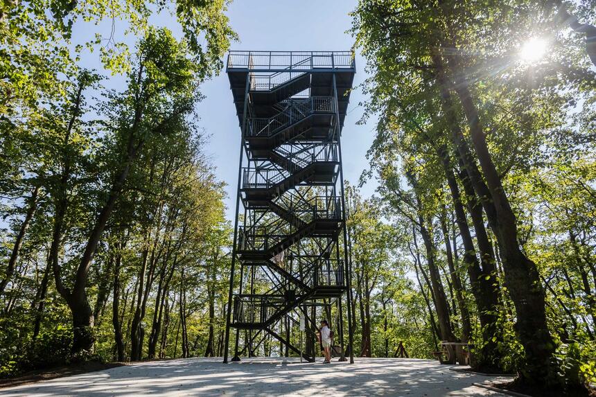 Metalowa wieża ze schodami i balustradami, wokół drzewa 