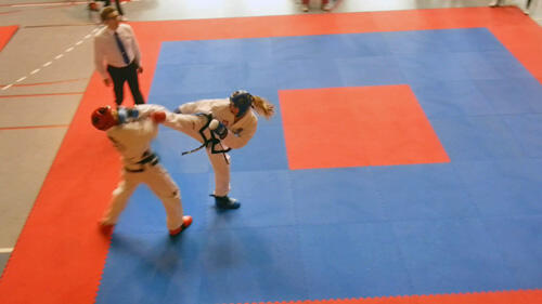 taekwondo-foto
