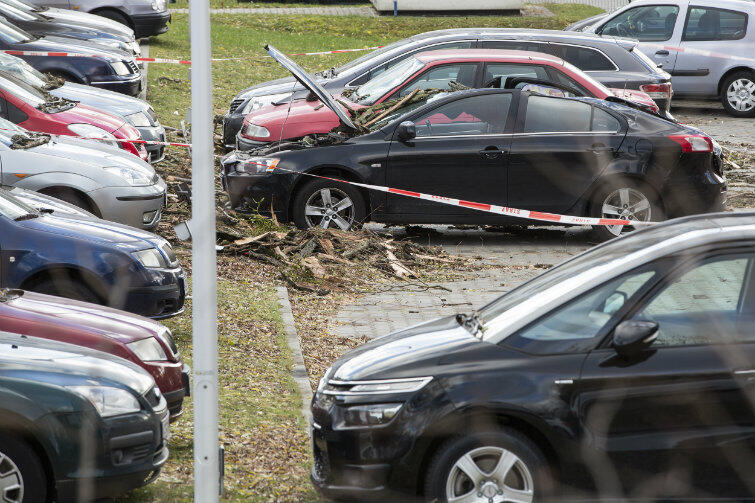 Na parkingu przy ul. Myśliwskiej powalone przez wichurę drzewo uszkodziło sześć samochodów.
