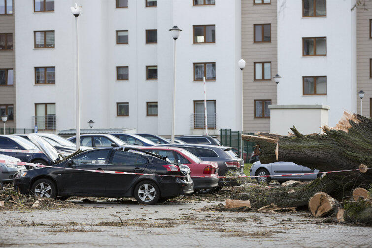 Ostatnia silna wichura przeszła przez Gdańsk w listopadzie 2015 r. Na parkingu przy ul. Myśliwskiej powalone drzewo uszkodziło sześć samochodów.
