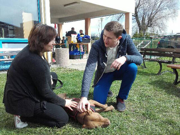 Prezydent Piotr Grzelak zastanawia się nad adopcją psiaka z Promyka 
