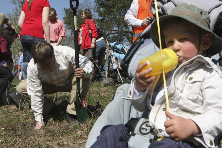 Gaj Ojców w Parku Nadmorskim w Brzeźnie, 2009 r. Gdański tatuś sadzi dąb. Dzisiaj zarówno drzewko, jak i malec w wózku zdążyli już zmężnieć.
