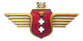 Jedna z pamiątkowych odznak 318 Dywizjonu, wykonana już po wojnie.