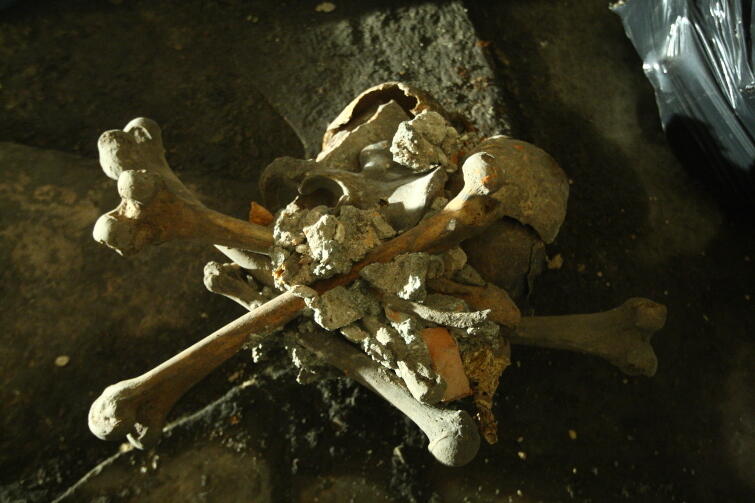Kości odkryte w krypcie w bazylice św. Brygidy. Niedługo będą częścią ekspozycji
