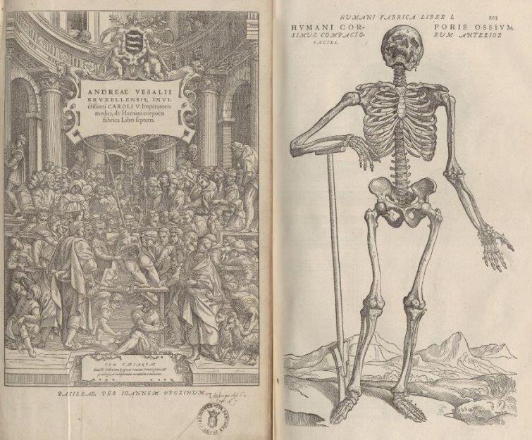 Po lewej: sekcja zwłok na frontyspisie atlasu anatomicznego Andreasa Vesaliusa. Po prawej przedstawienie szkieletu ludzkiego z tego samego atlasu