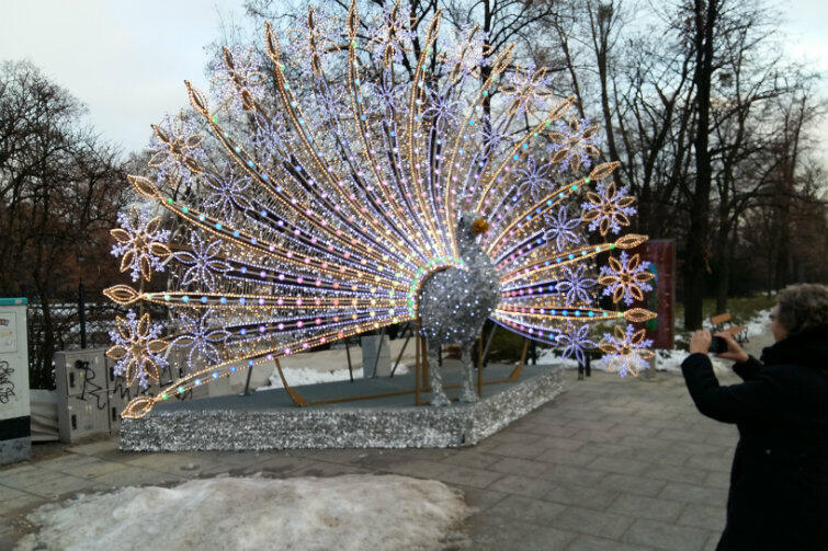 Świetlisty paw w Alejach Ujazdowskich robi wrażenie - co chwila ktoś podchodzi, by zrobić zdjęcie
