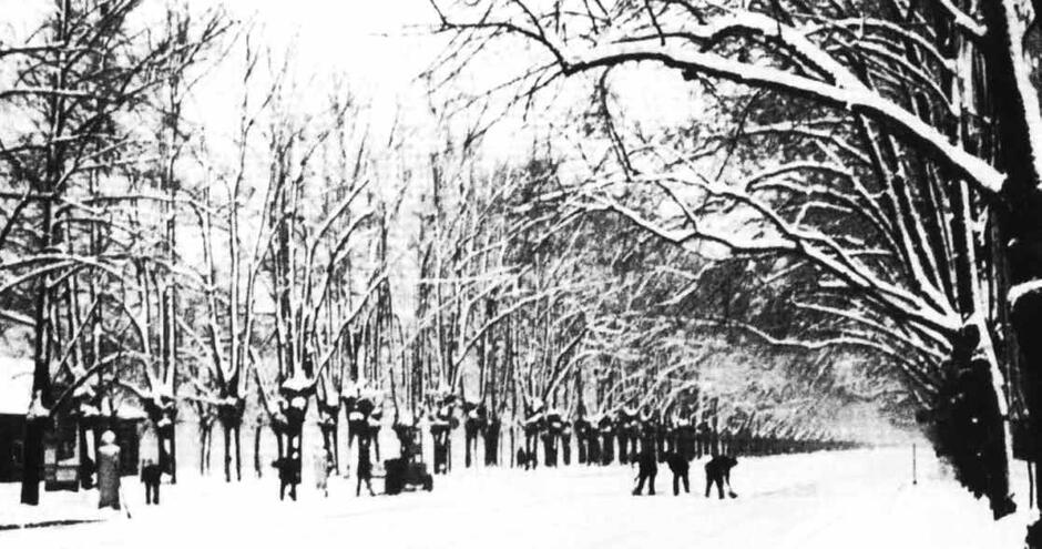Odśnieżanie Wielkiej Alei po obfitych opadach śniegu; 1924