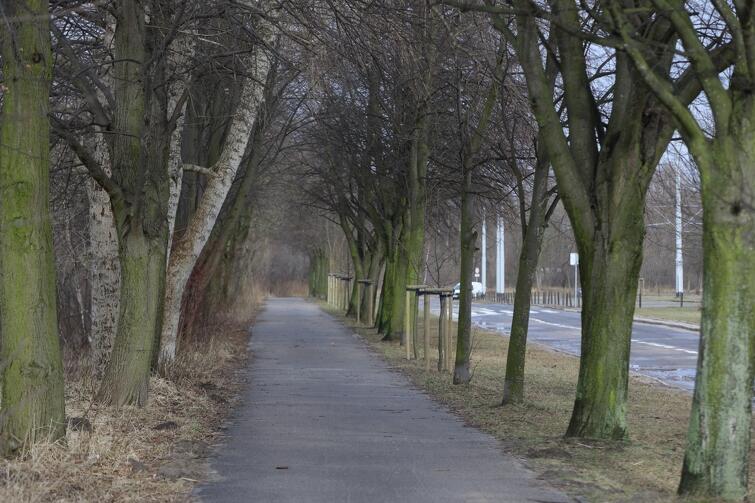 W tym roku powstanie także ścieżka rowerowa wzdłuż al. Hallera na odcinku od ul. Chrobrego do ul. Wczasy.