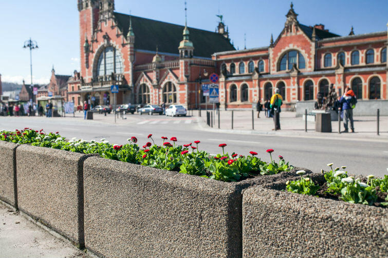 W tym roku w Gdańsku zasadzonych zostanie ponad 52 tysiące kwiatów!