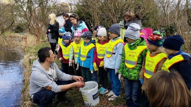 W piatek 31 marca w przenoszeniu płazów pomogły także przedszkolaki z Przedszkola nr 12 „Leśny Domek”