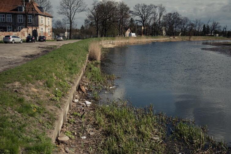 Niektórzy mieszkańcy Olszynki nie przejmują się dbaniem o środowisko naturalne. Opływ Motławy wygląda w tej dzielnicy fatalnie
