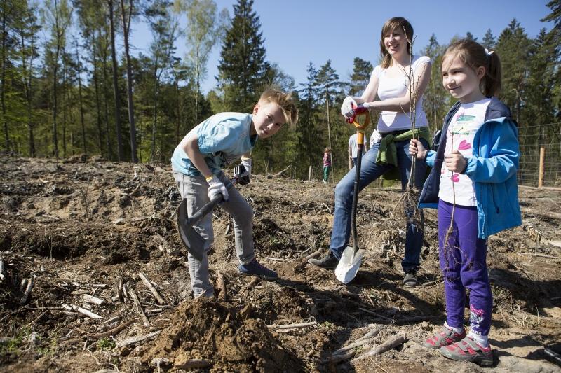 7 maja, 2016, Gdańsk Matemblewo. Wspólne sadzenie lasu (dębu bezszypułkowego) organizowane przez Miasto Gdańsk i Nadleśnictwo Gdańsk