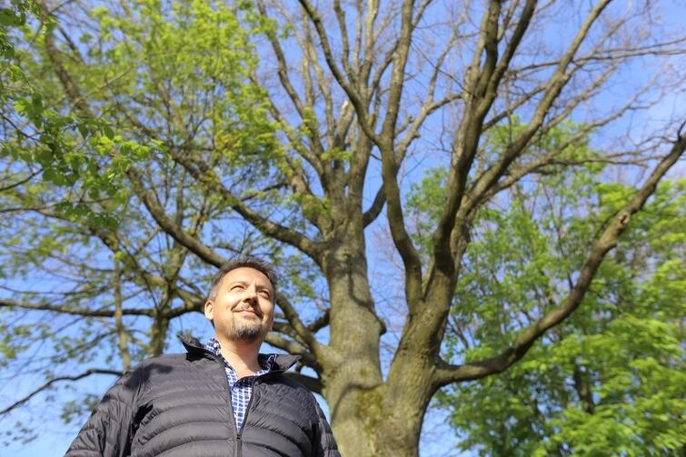 Marcin Szymański zgłosił trzy drzewa jako pomniki przyrody