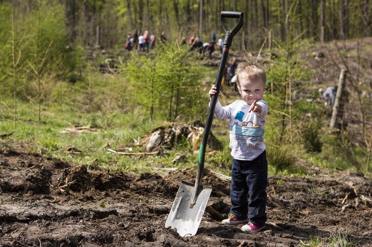W sobotę, 6 maja, szpadle poszły w ruch. Mali i duzi mieszkańcy Gdańska brali udział we wspólnym sadzeniu lasu. W pobliżu Brętowa przy Lipnickiej Drodze posadzono prawie 4 tys. drzew. Po dobrze wykonanej robocie był gorący posiłek i zabawy dla dzieci, każdy z uczestników otrzymał też imienny certyfikat poświadczający fakt posadzenia drzewa