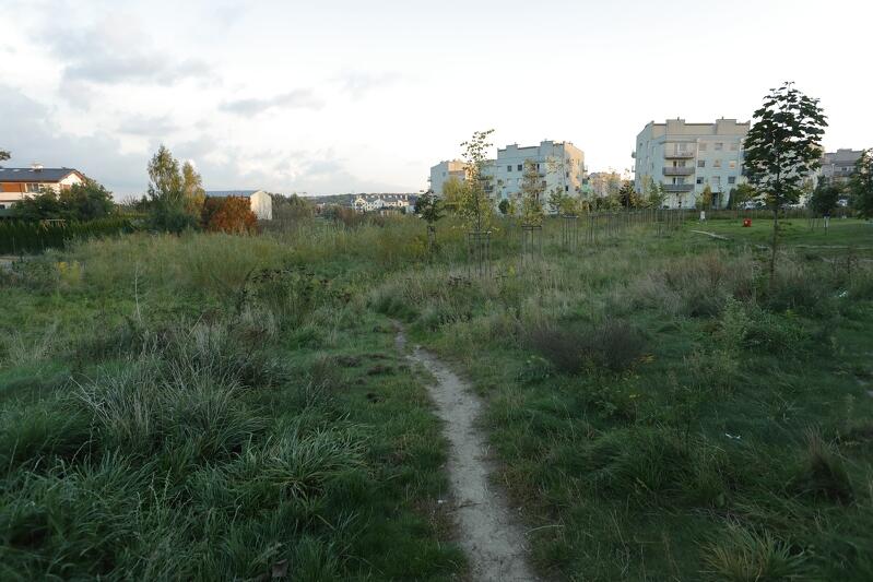 Na Ujeścisku wygrał tylko jeden projekt BO 2018. To pomysł na powstanie parku na osiedlu 5 Wzgórz