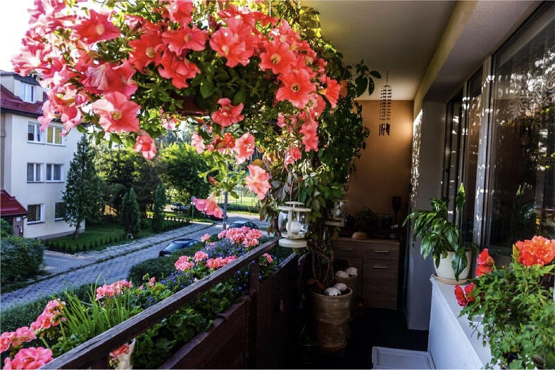 Aranżacja balkonu Krystyny Redłowskiej (I miejsce w kat. Balkon) to piękna kompozycja roślin i duże wyczucie w zestawieniu elementów dekoracyjnych
