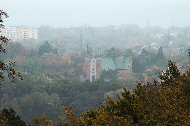 Widok z lasu na Katedrę Oliwską