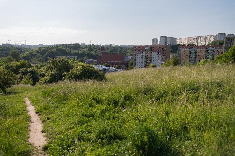 Park powstanie na terenie o powierzchni około 4 hektarów, pomiędzy ul. Szarą i Maryli