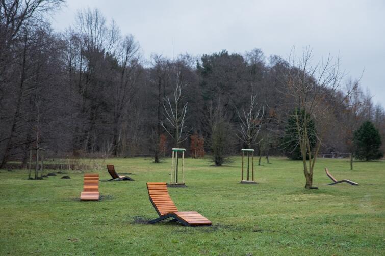 Drewniane leżaki znajdziecie na parkowej łące, w sąsiedztwie placów zabaw i siłowni pod chmurką