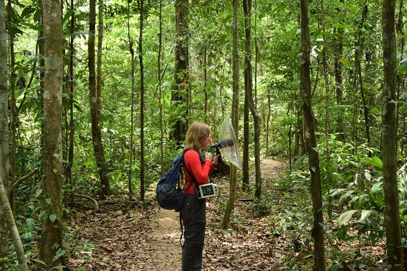 Izabela Dłużyk łowi wymarzone dźwięki w amazońskiej dżungli