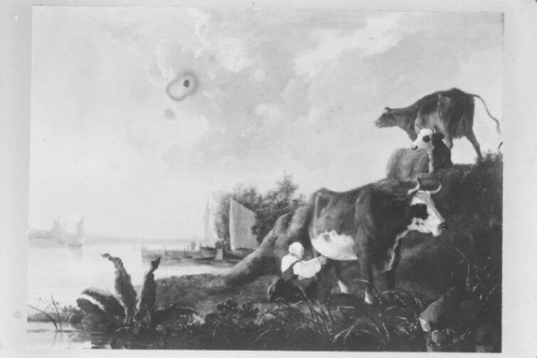 Aelbert Jacobsz Cuyp (1620-1691), „Krajobraz z krowami”; dawne zbiory Muzeum Miejskiego w Gdańsku, obiekt zaginiony