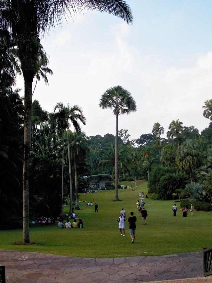 Trawniki wokół sceny koncertowej w singapurskich Ogrodach Botanicznych są jednym z ulubionych miejsc Singapurczyków na weekendowy piknik