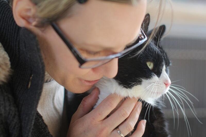 Dzień Kota obchodzimy 17 lutego. Chociaż dla miłośników kotów trwa ono cały rok