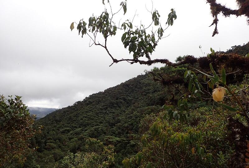 30 ha przyszłego rezerwatu znajduje się w górskich rejonach Kolumbii, na wysokości powyżej 2,5 tys. m