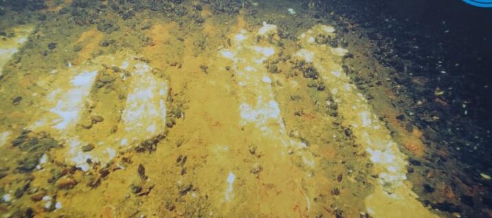 Podwodne zdjęcie wraku „Wilhelma Gustloffa”, widoczne litery „off”