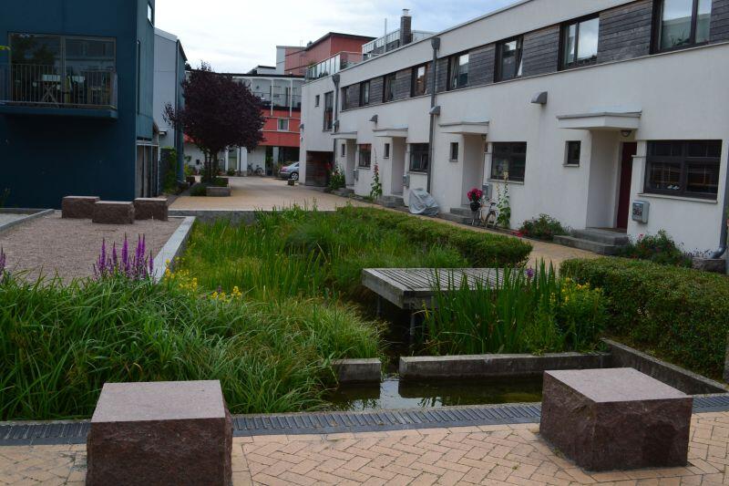 Tak wygląda ogród deszczowy w szwedzkim Malmo. Podobne mogą powstać w Gdańsku