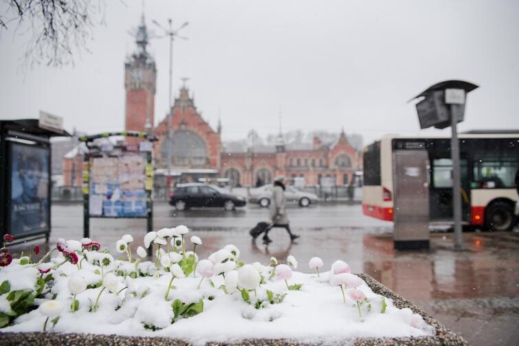 W marcu jak w garncu, czyli powrót zimy do Gdańska. Który to już w tym roku? Tym razem w czwartek, 29 marca