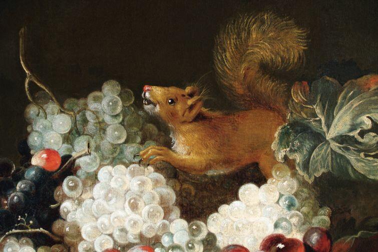 Andreas Stech - Martwa natura z wiewiórką  (1672 r.)