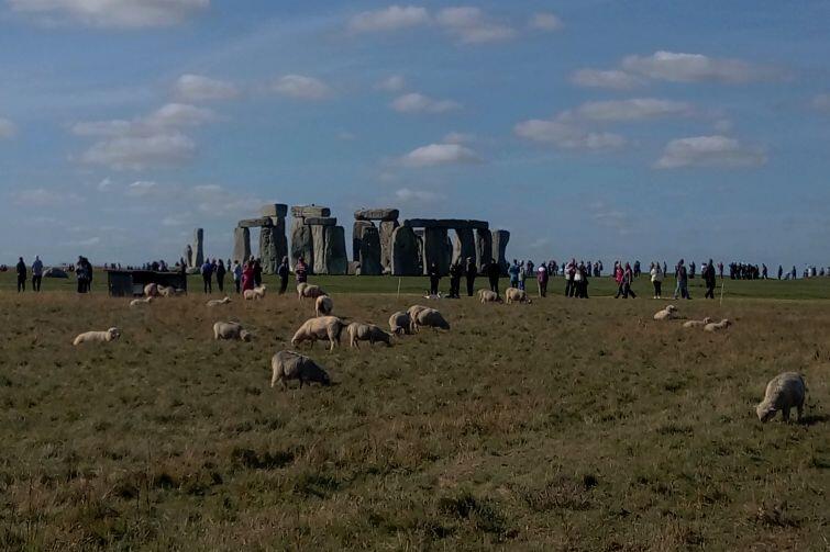 Stonehenge i owce 