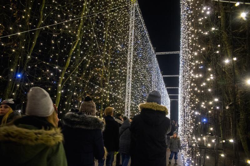 Iluminacje w Parku Oliwskim