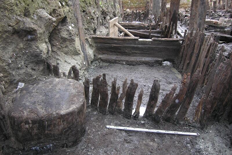 Podczas badań archeolodzy odsłonili miejsce uboju, wiosna 2005