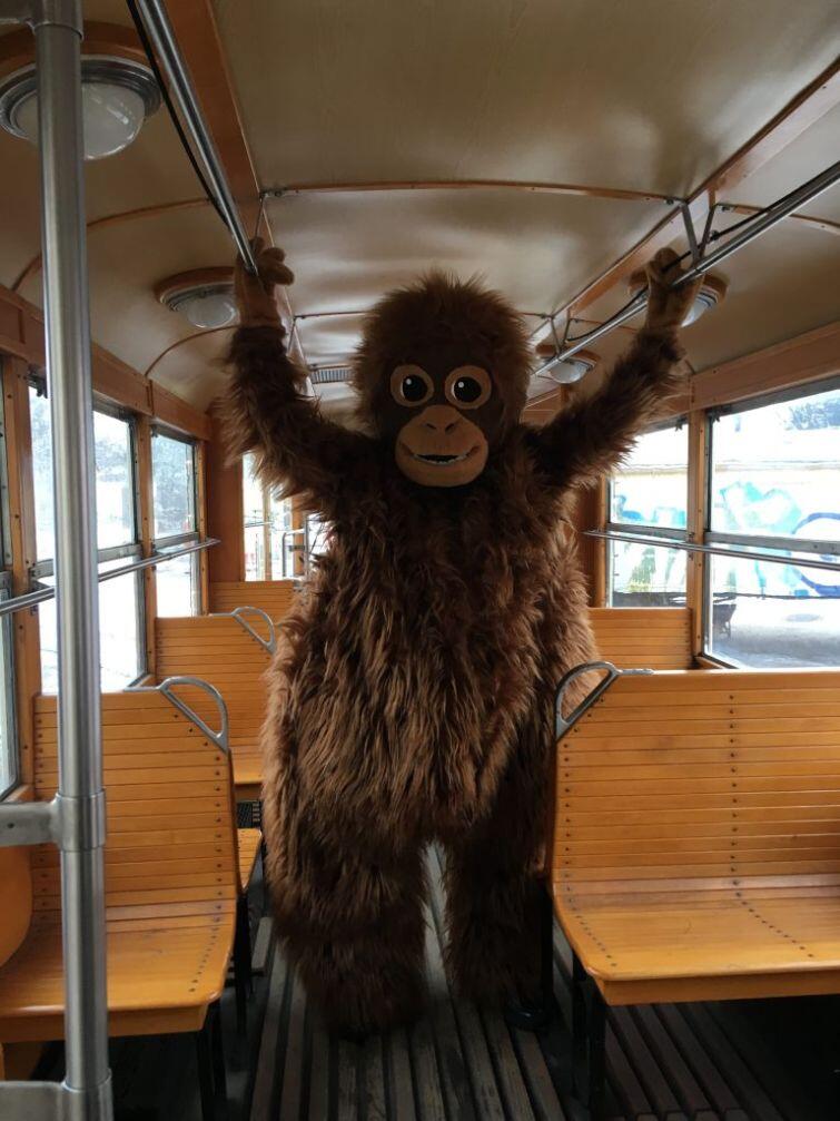 Maskotka orangutanicy Rai to nowa tegoroczna atrakcja 