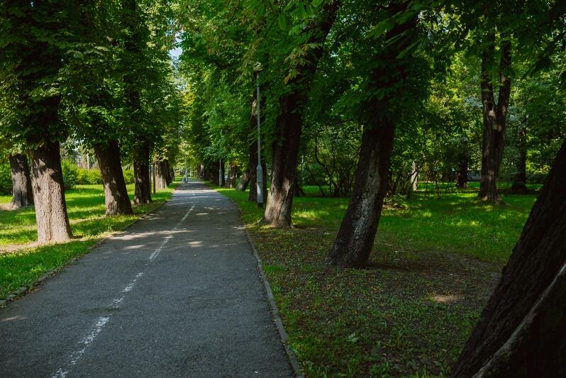 Park Steffensów - jedno z najbardziej urokliwych miejsc w dzielnicy Aniołki