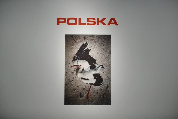 Zdjęcia z cyklu Polska-rzeczywistość  użył Jan Klata na plakacie swojego spektaklu  Wesele  