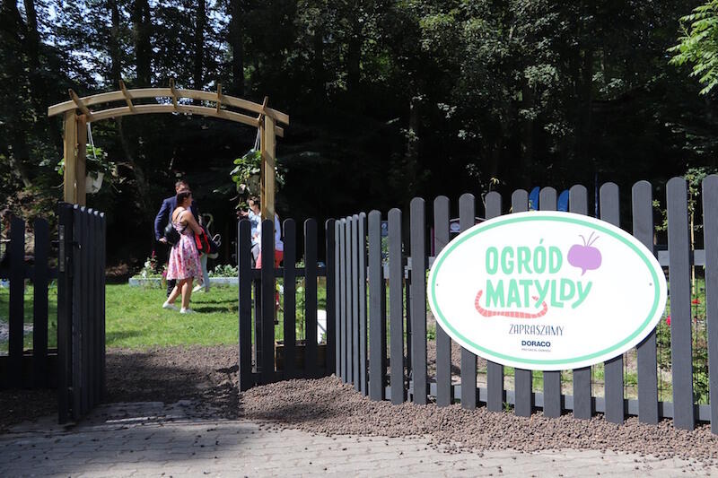 Ogród Matyldy to projekt Anny Jędrzejewskiej, w którym wszyscy zainteresowani będą mogli obserwować całoroczną wegetację roślin