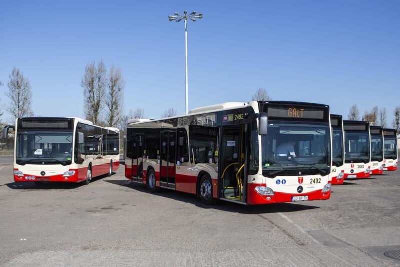 Aż 16 linii autobusowych będzie bezpłatnie dowozić mieszkańców na Westerplatte w niedzielę, 1 września