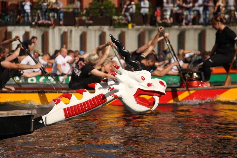 Wyścigi na smoczych łodziach można obserwować m.in. w trakcie letnich imprez na Motławie
