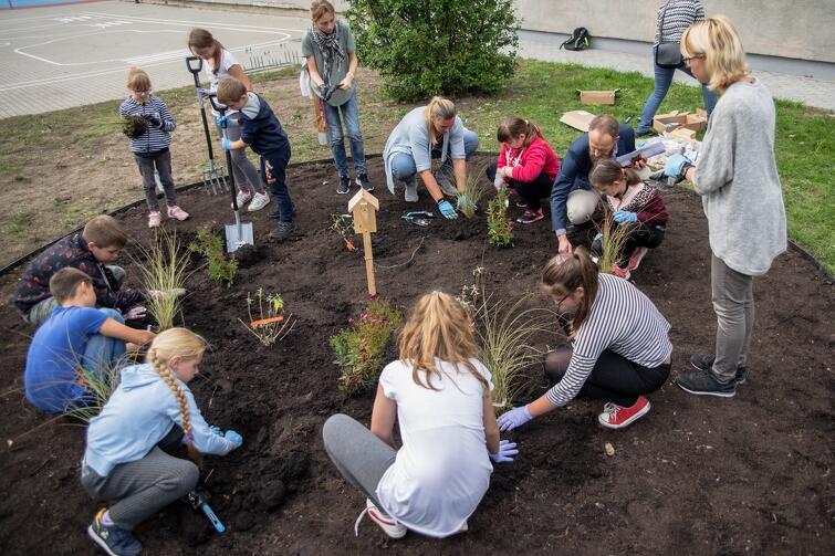 Nietypowy przyszkolny ogród założyli uczniowie SP 76, przy wsparciu wiceprezydenta Gdańska i szefowej miejskich radnych
