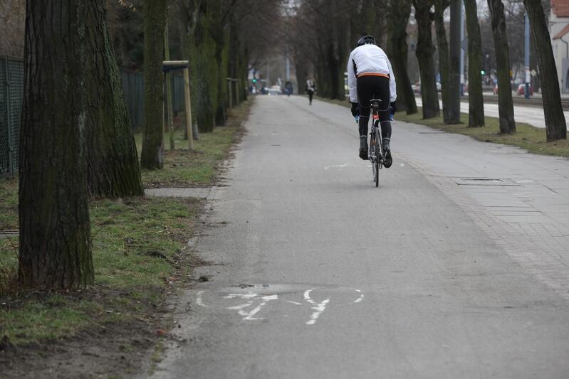 Rowerzysta na drodze rowerowej wzdłuż al. Hallera w Gdańsku 
