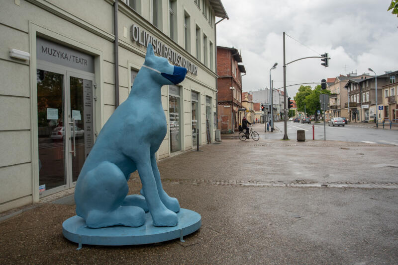 Ma ponad dwa metry, błękitny odcień i... wiedzę na temat aktualnych wystaw. To As, pies strzegący Oliwskiego Ratusza Kultury