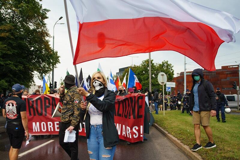 Idąc przez gdańskie Śródmieście nacjonaliści wznosili hasła na rzecz obrony Europy przed lewactwem  i ludźmi reprezentującymi inne kultury. Próbowali wywołać wrażenie, że marsz ma charakter międzynarodowy - dlatego nieśli nie tylko flagi biało-czerwone, ale też innych państw europejskich, w tym Rosji 