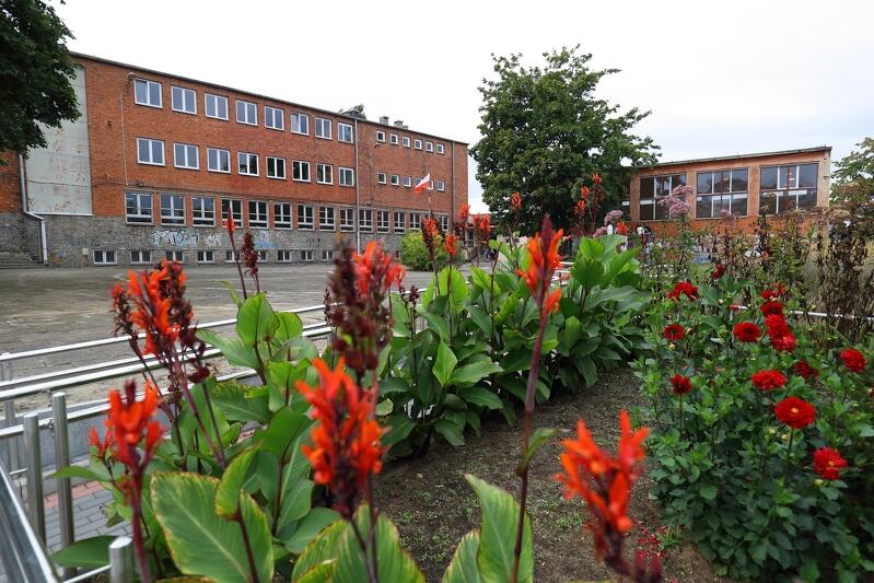 Wokół szkoły jest mnóstwo zieleni i ogródki z roślinami miododajnymi i lubianymi przez motyle