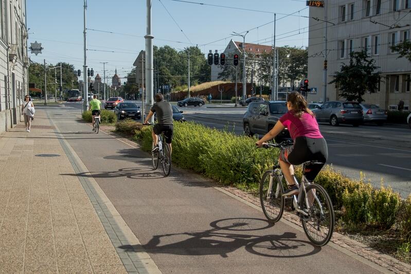 Rowerzyści jadący drogą rowerową wzdłuż Długich Ogrodów