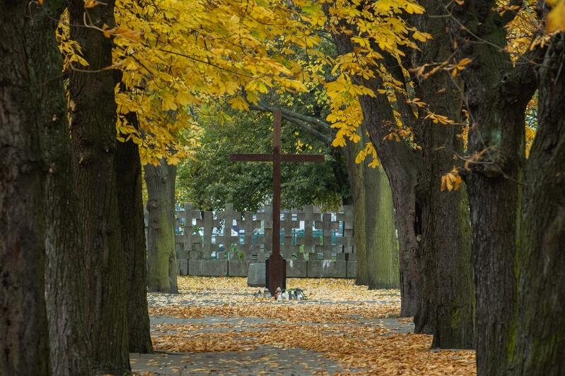 Krzyż na Cmentarzu Ofiar Hitleryzmu na Zaspie