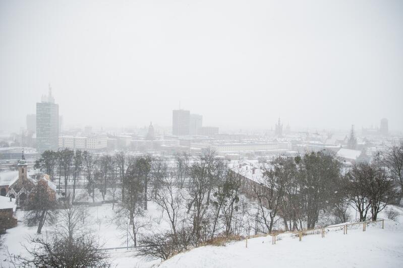 Widok na zimowy Gdańsk z Góry Gradowej